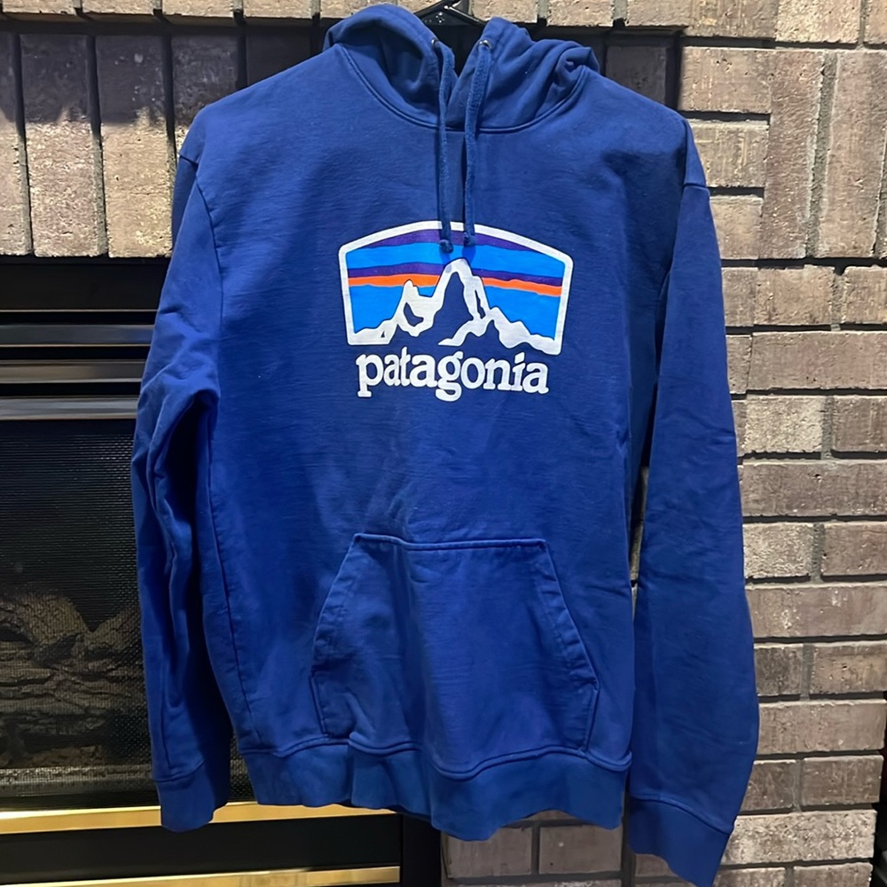 Mens Patagonia Hoodie